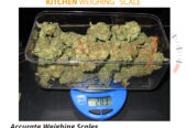 Hangable Digital Kitchen Scale Food Scale