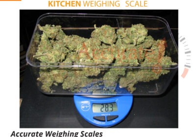 DigitalKitchen-scale-114-jpg