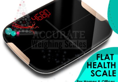 FLAT-HEALTH-SCALE-40-1