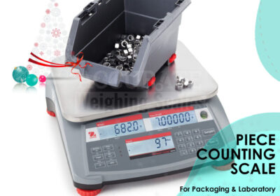 PIECE-COUNTING-SCALE-18