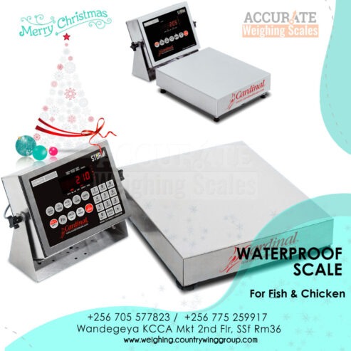 compact Waterproof Scale 30kg capacity digital type