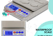 digital platform digital scale with food dimensions