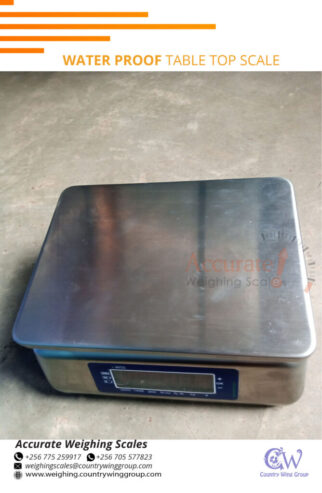 Waterproof weighing scale perfect for fish processing field