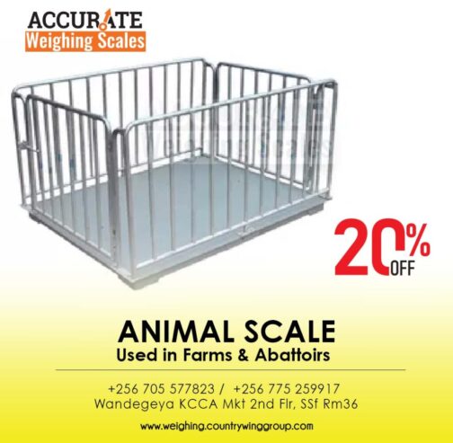 Do you want Cattle scales in Kampala Uganda?