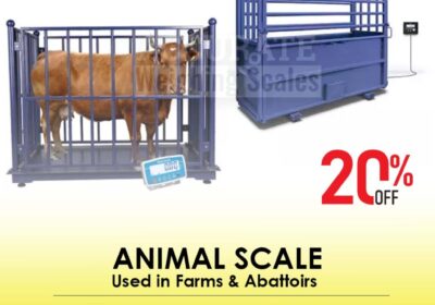 animal-scale-26-1