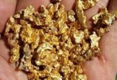 Gold Nuggets Manufacturers in Barbados+256757598797