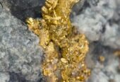 Pure Gold Producers Near you in Saint Lucia+256757598797