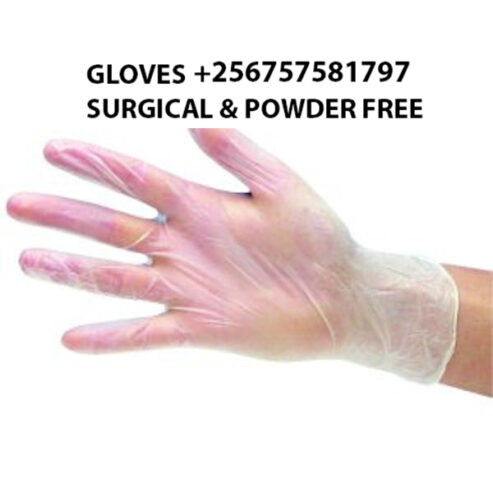 Perfume and powder free gloves for food preparation in Kampa