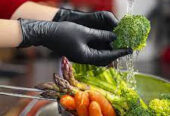 Perfume and powder free gloves for food preparation