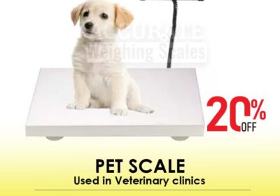 pet-scale-11