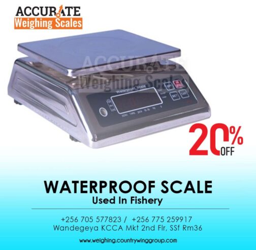 table top rustproof weighing scales for seafood markets use