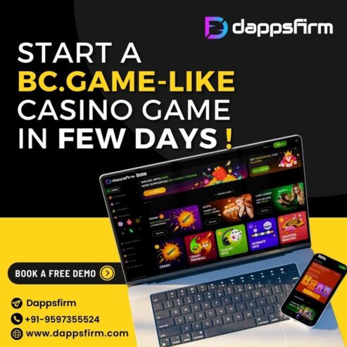 Experience Quick ROI with BC.Game Clone Script