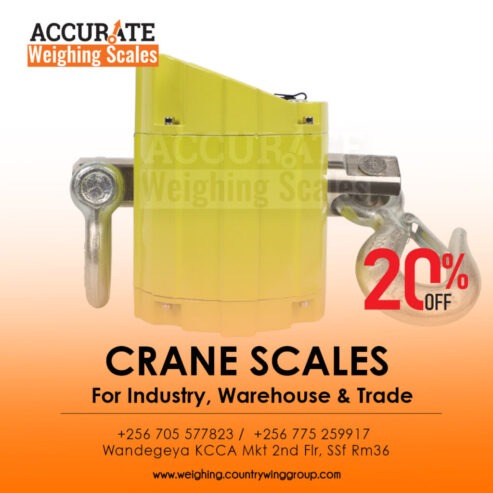 OIML registered company crane weighing scales supplier