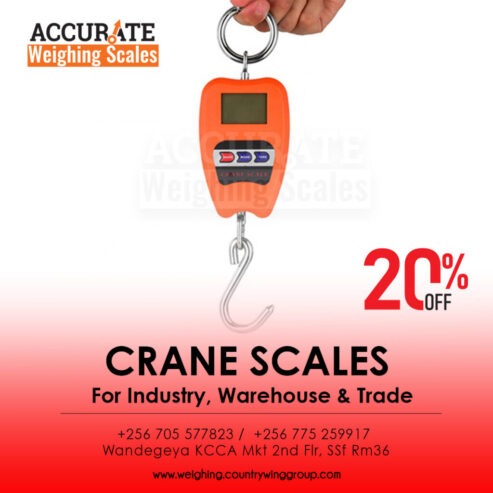 OIML registered company crane weighing scales supplier