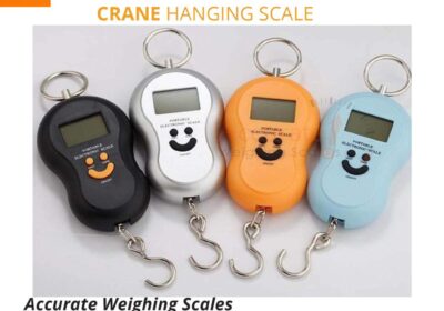 Crane-Scale-84.jpg-2