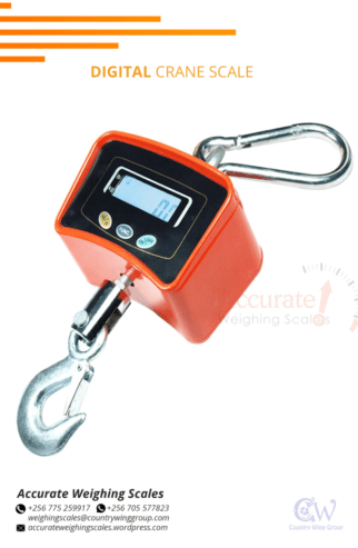 Digital Crane weighing scale power adaptors in supplier shop