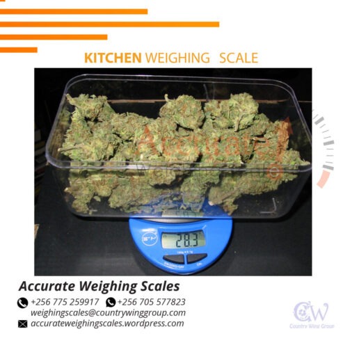 Household Kitchen Electronic Food Diet Scales