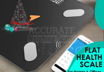 FLAT-HEALTH-SCALE-29-1