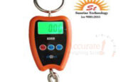 Light duty crane weighing scale for retail business