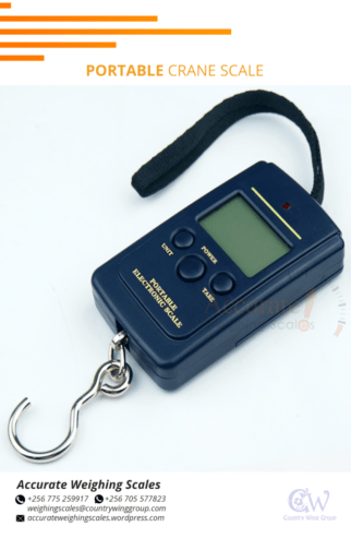 Verified luggage weighing scales of capacity 30kg