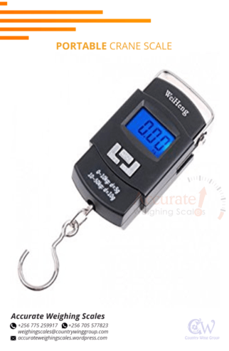 Light duty digital hook weighing scale repair at suppliers