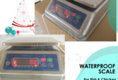 double LED display table top digital weighing scale