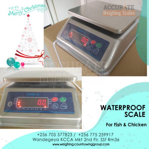 double LED display table top digital weighing scale