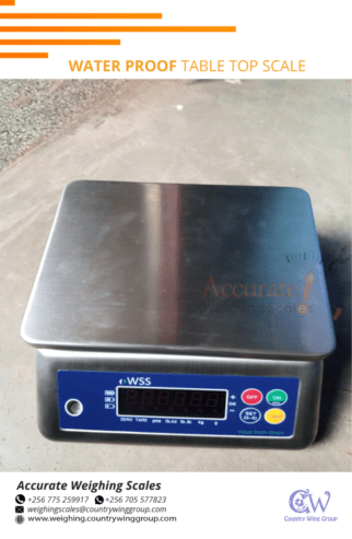 table top rustproof weighing scales for seafood markets use