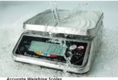 waterproof weighing scale with transparent dust cover