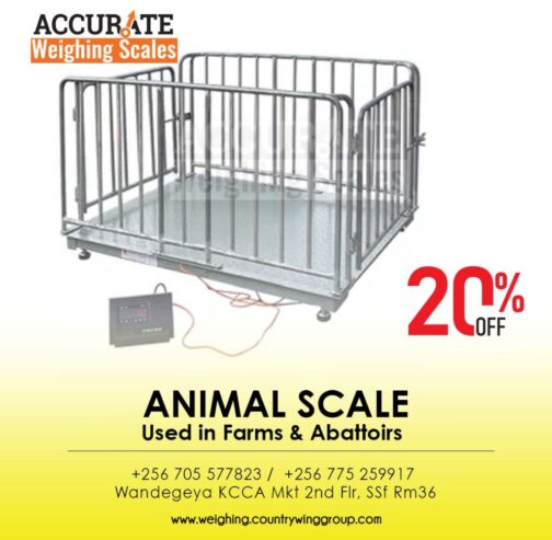 digital cattle weighing scale of 0.5kg divisions