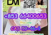 Procaine，CAS 59-46-1