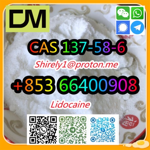 CAS 137-58-6 Lidocaine high quality good price