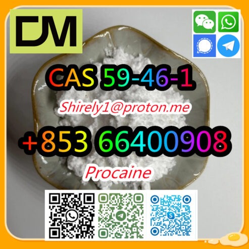 CAS 59-46-1 Procaine with high quality hot sale stock