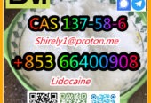 CAS 137-58-6 Lidocaine high quality good price