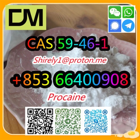 CAS 59-46-1 Procaine with high quality hot sale stock