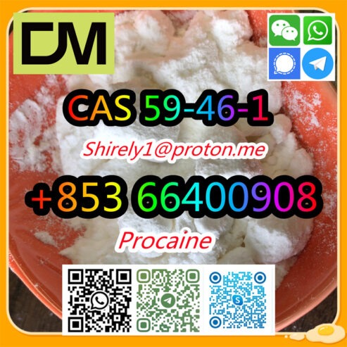 CAS 59-46-1 Procaine with high quality hot sale stock