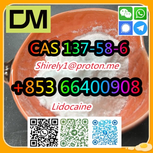 CAS 137-58-6 Lidocaine high quality good price