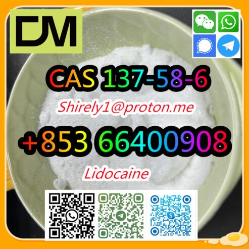 CAS 137-58-6 Lidocaine high quality good price