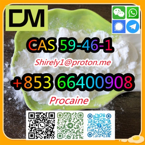 CAS 59-46-1 Procaine with high quality hot sale stock