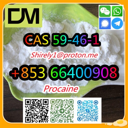 CAS 59-46-1 Procaine with high quality hot sale stock