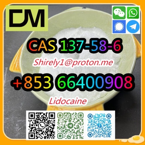 CAS 137-58-6 Lidocaine high quality good price