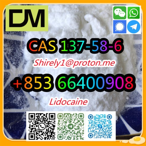 CAS 137-58-6 Lidocaine high quality good price