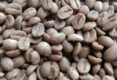 Top Quality Bulk Quantity Robusta Coffee | arabica Exporter