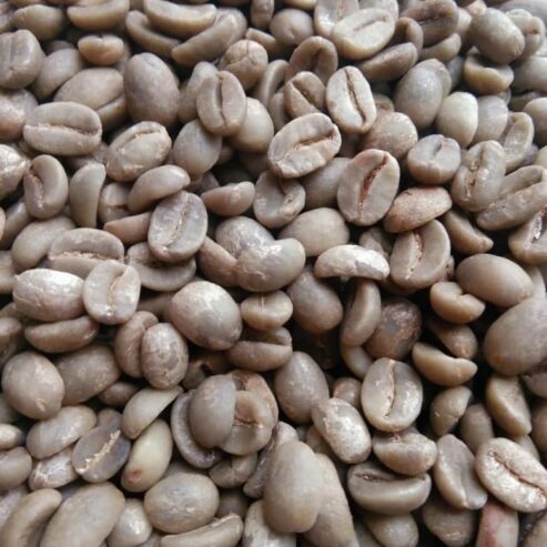 Top Quality Bulk Quantity Robusta Coffee | arabica Exporter