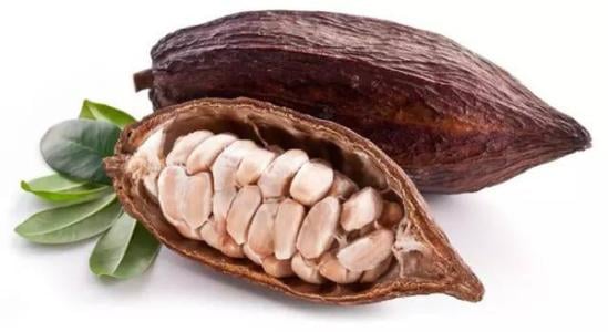 Supplier of Cocoa Bean export and Import +27631501216