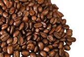 Uganda Coffee Exporters, Buyers and Distributors | Roasted A