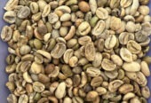 Top Quality Bulk Quantity Robusta Coffee | arabica Exporter