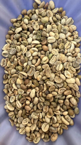 Top Quality Bulk Quantity Robusta Coffee | arabica Exporter