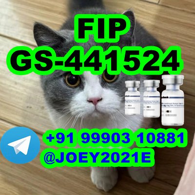 GS-441524 FIP Feline Infectious Peritonitis