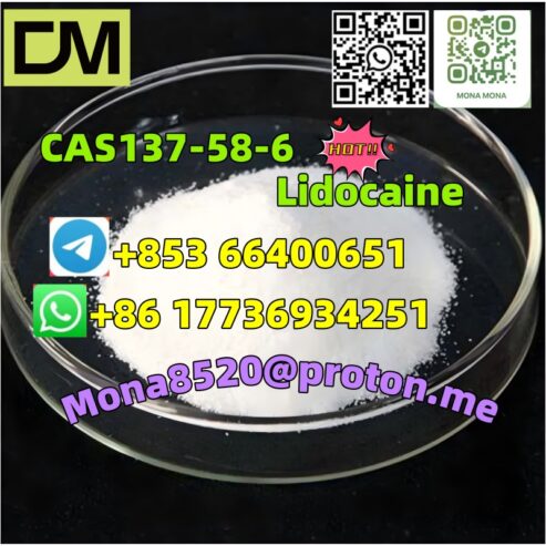 CAS137-58-6 Lidocaine door to door delivery